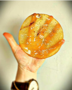 A Kombucha SCOBY Of Your Very Own
